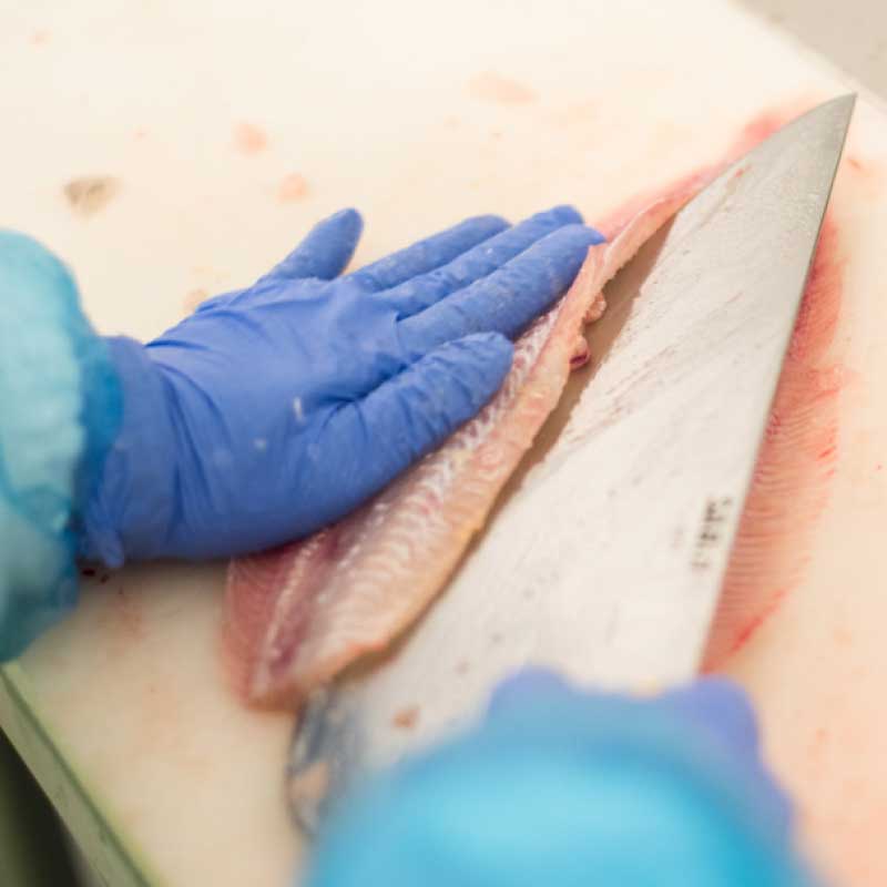 Pescado fresco Garcimar: carne muy firme y consistente y fuertemente adherida a las espinas.