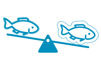 agua-ico2